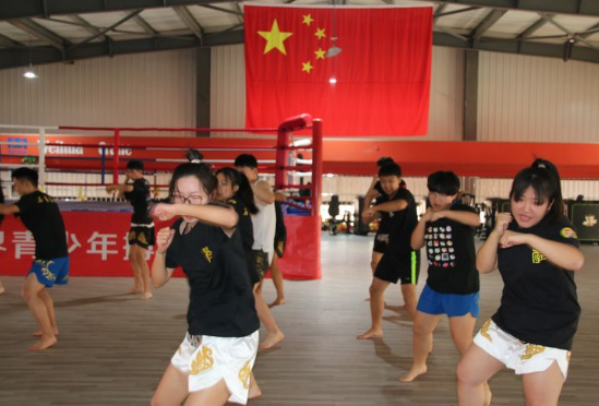 石家莊開設(shè)體育專業(yè)、武術(shù)專業(yè)的學(xué)校