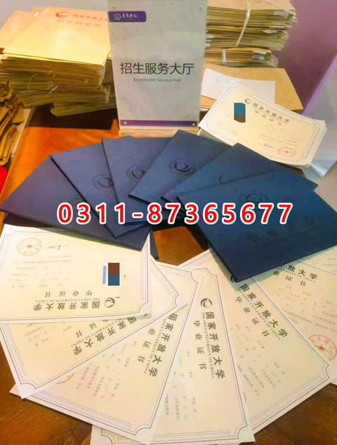 學信網上都能查詢什么學歷呢？